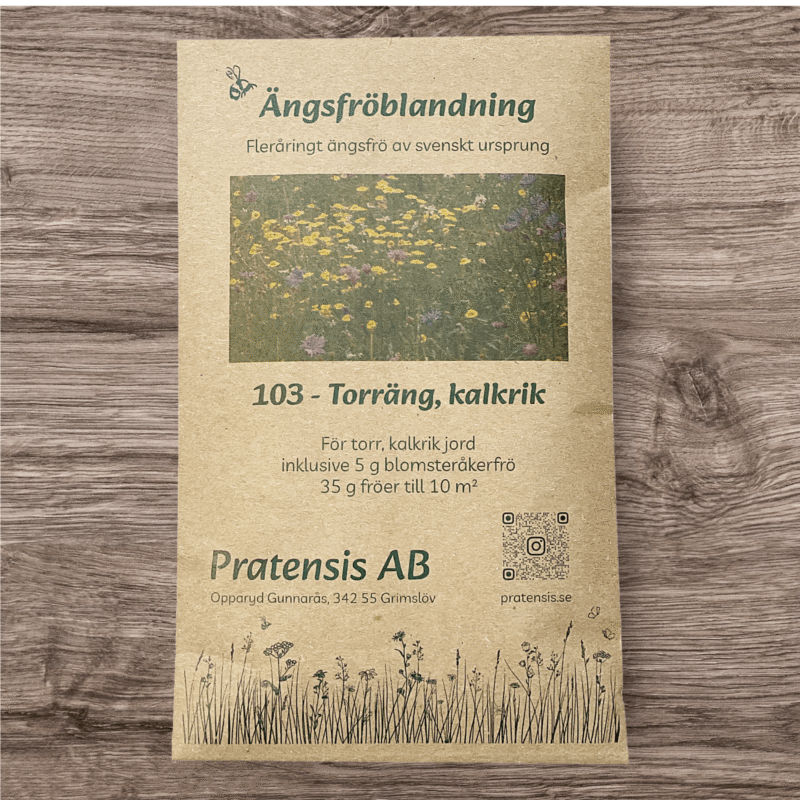 Ängsfrö Torräng Kalkrik