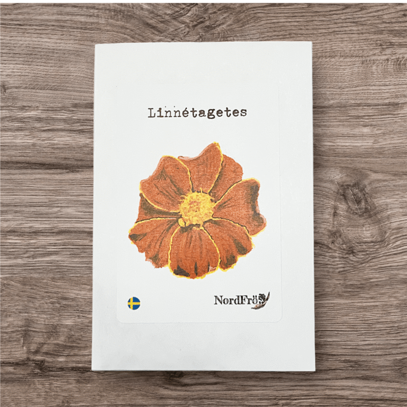Linnétagetes