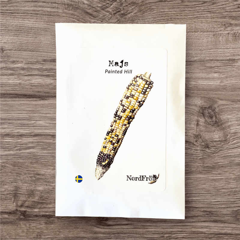 Sockermajs Painted Hill