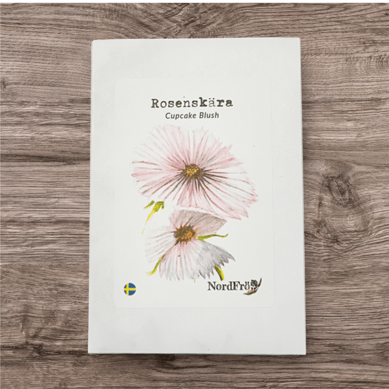 Rosenskära Cupcake Blush