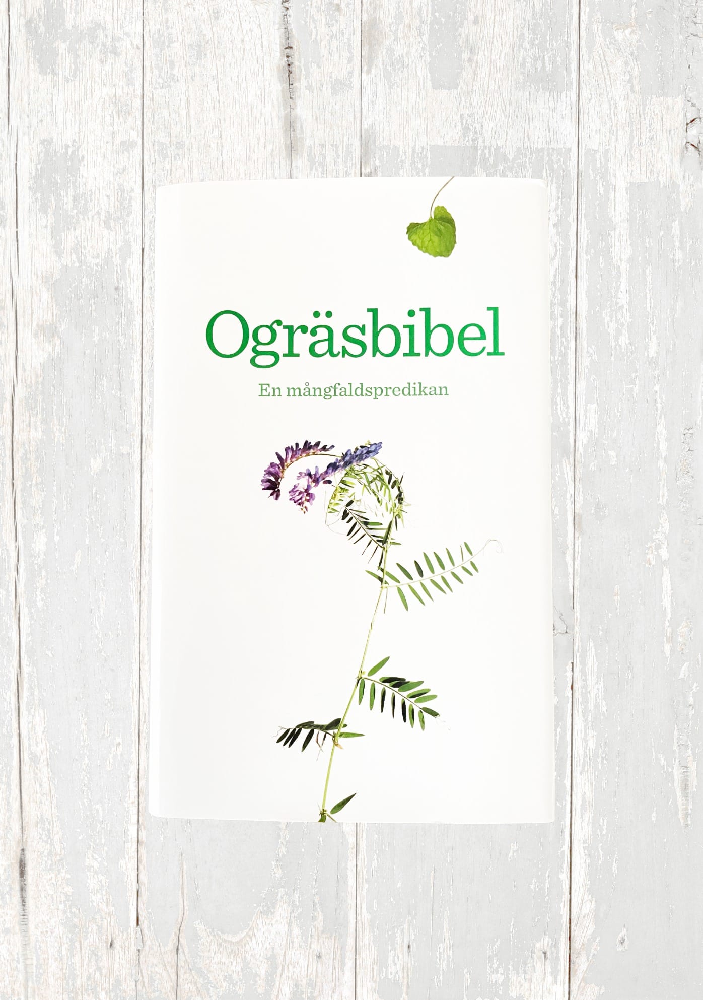 Ogräsbibel – en mångfaldspredikan